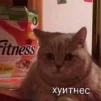 NotDev